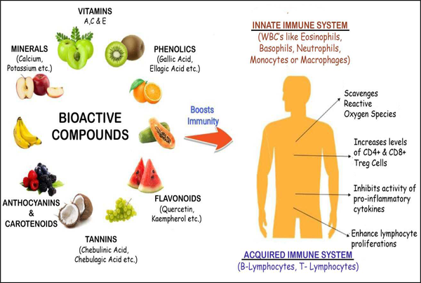 Chart of bioactive compounds in fruits and their potential health effects. Source: Maheshwari et al., Food Frontiers, 2022